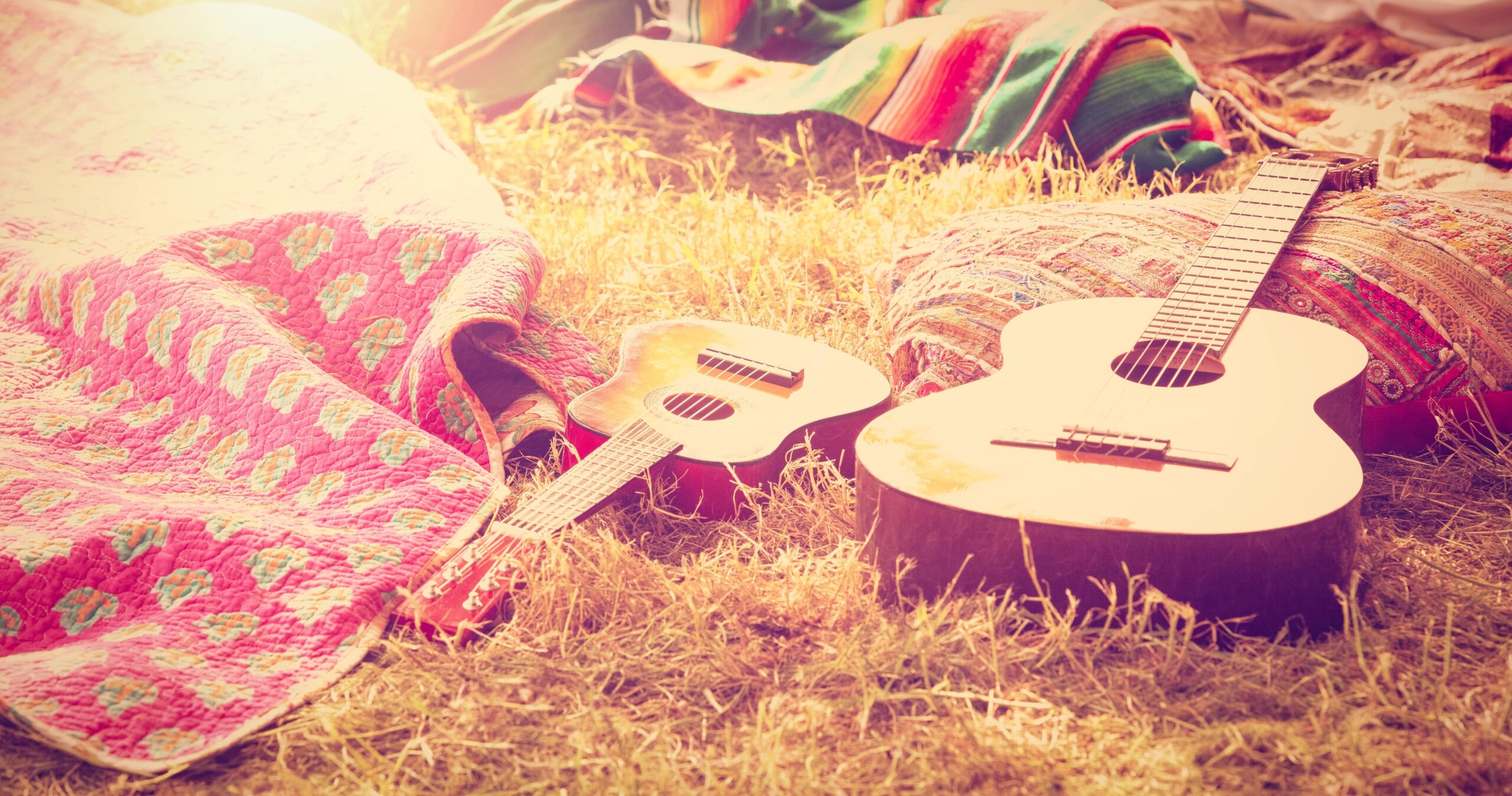 Guitar on Grass at Festival