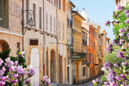 French street with purple flowers